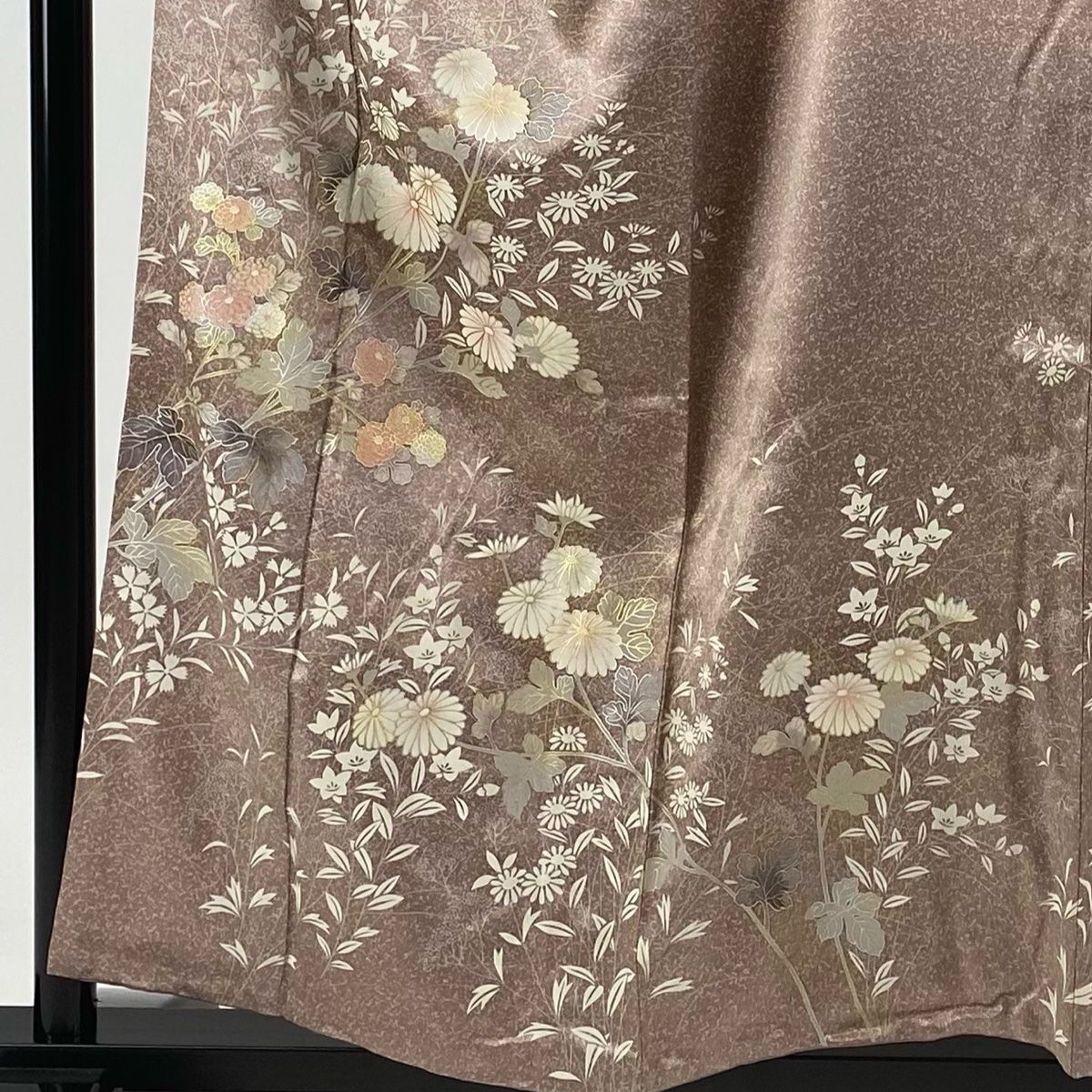 袷 菊
