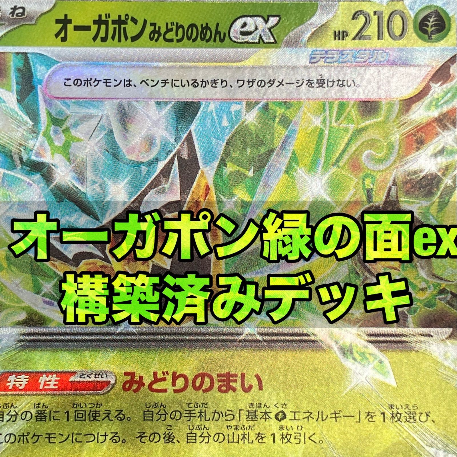 【新環境ジムバトル優勝構築】 オーガポンみどりのめんex 構築済みデッキ 新環境ジムバトル優勝構築】 オーガポンみどりのめんex 構築済み