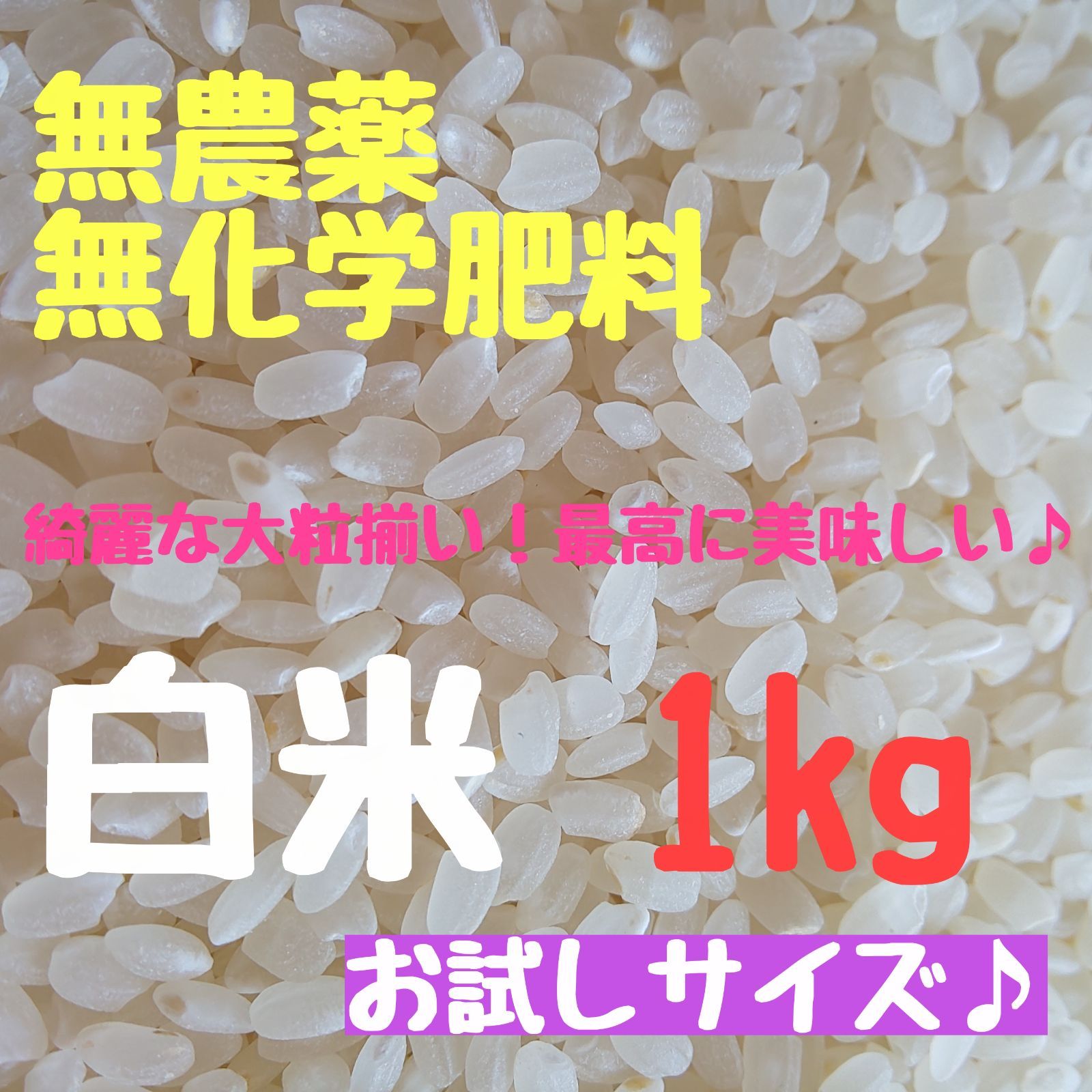 自然栽培米 農薬不使用 無除草剤 無化学肥料 大粒 令和5年 新米 玄米