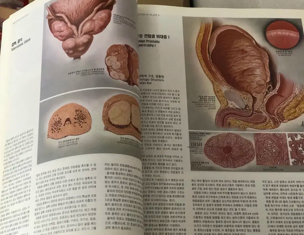 医療|