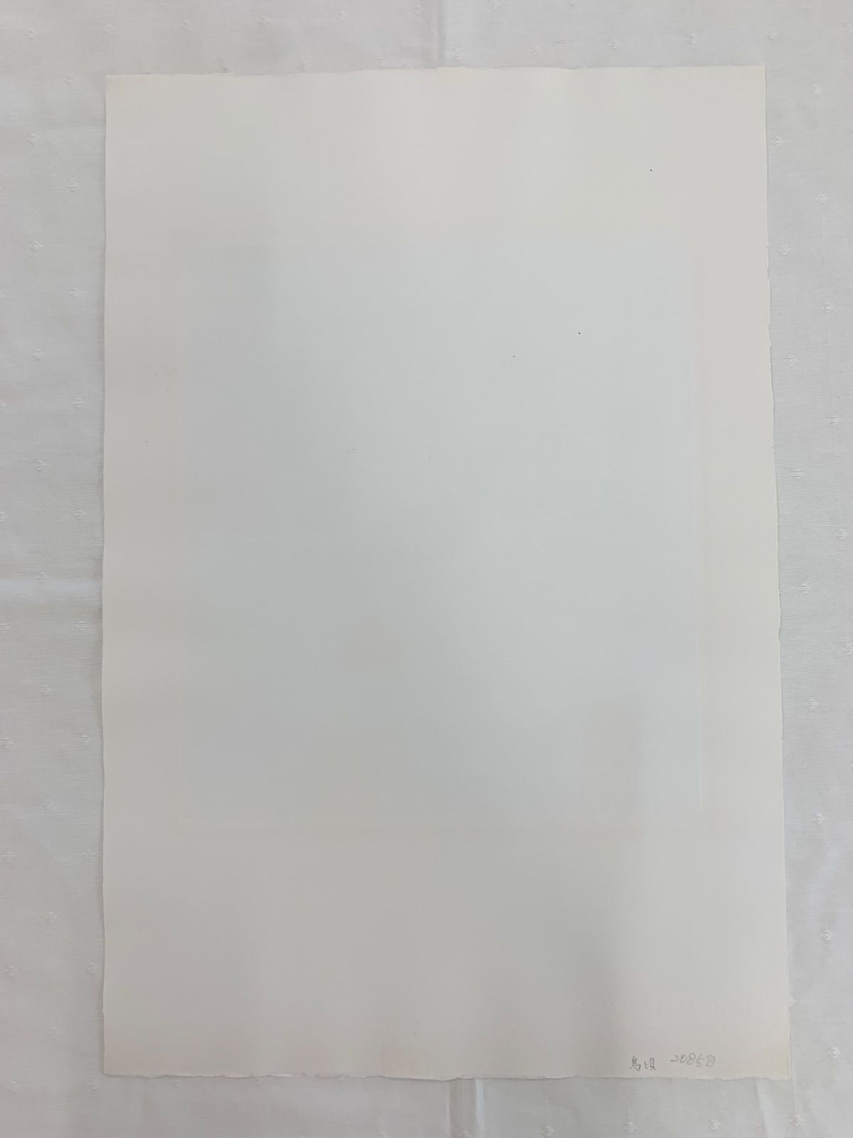 シートのみ 真作 鳥と貝 南桂子 Minami Keiko エッチング ソフトグランドエッチング 作家直筆サイン 版画 版画 浜口陽三 WWW_IBETON_RU