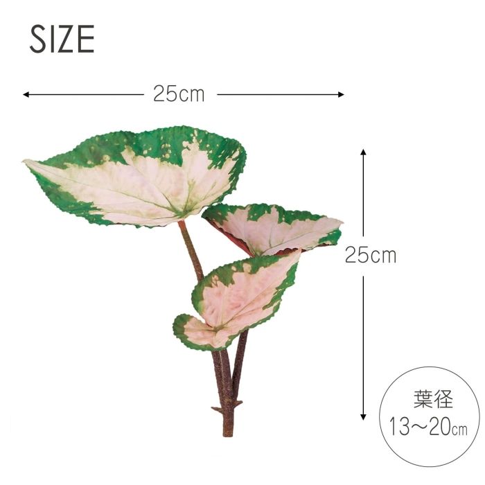 ピンクグリーン