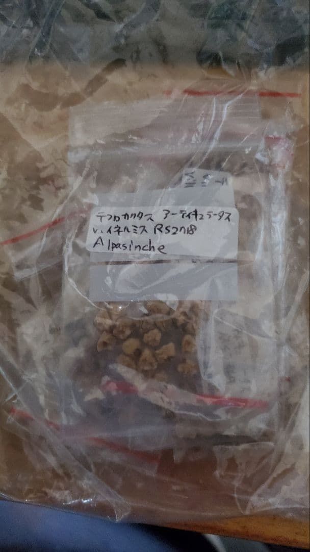 レア）テフロカクタス いろいろ 15種類 10粒ずつセット - メルカリ