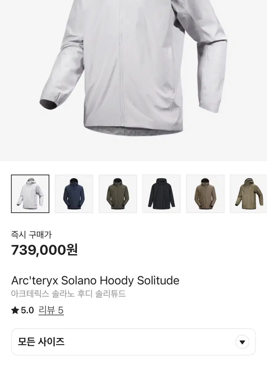 ARC TERYX アークテリクス ソラノ フーディー パーカー 孤独 メンズ S