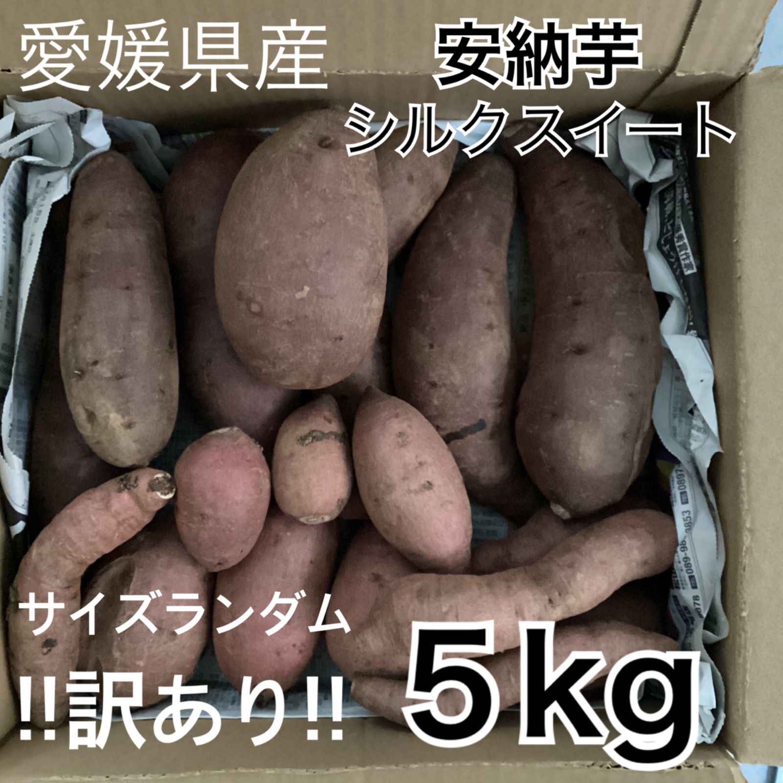 愛媛県産 さつまいも 安納芋 シルクスイート 2品種 5kg 送料無料