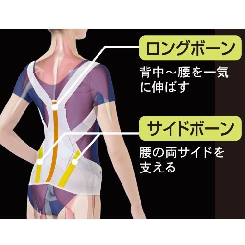 株式会社アルファックス |