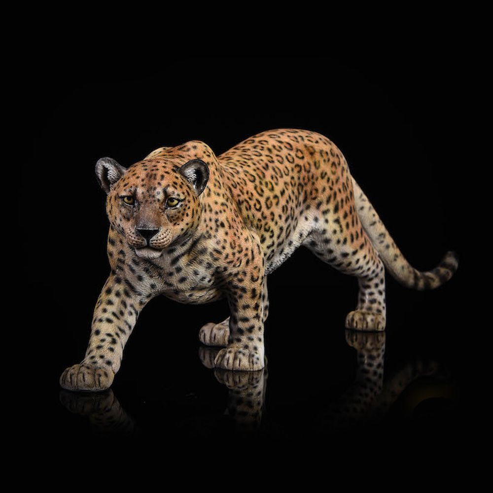 ジャガー