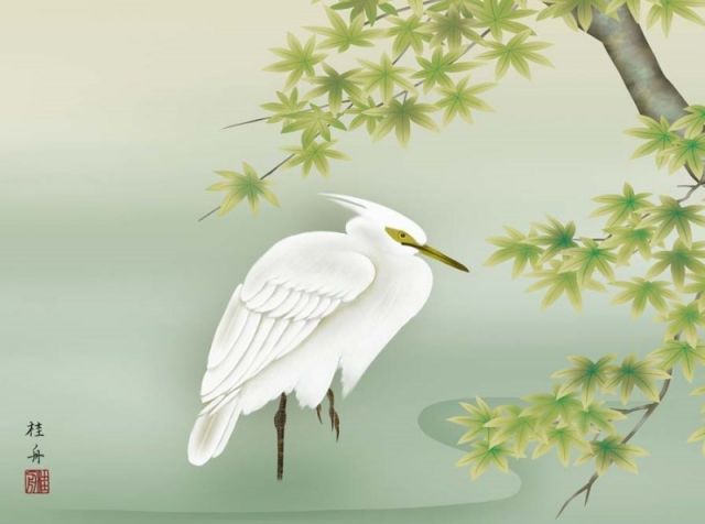 掛け軸　四季花鳥　夏　楓に白鷺　長江桂舟　花鳥画　日本画　絵画 掛け軸 四季花鳥 夏 楓に白鷺 長江桂舟 花鳥画 日本画 絵画