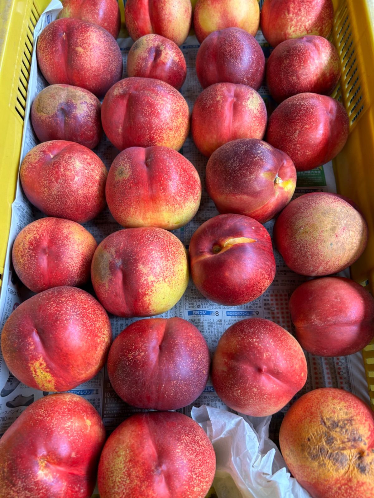 R7終了 山梨県産 フレーバートップ R7終了 山梨県産 フレーバートップ