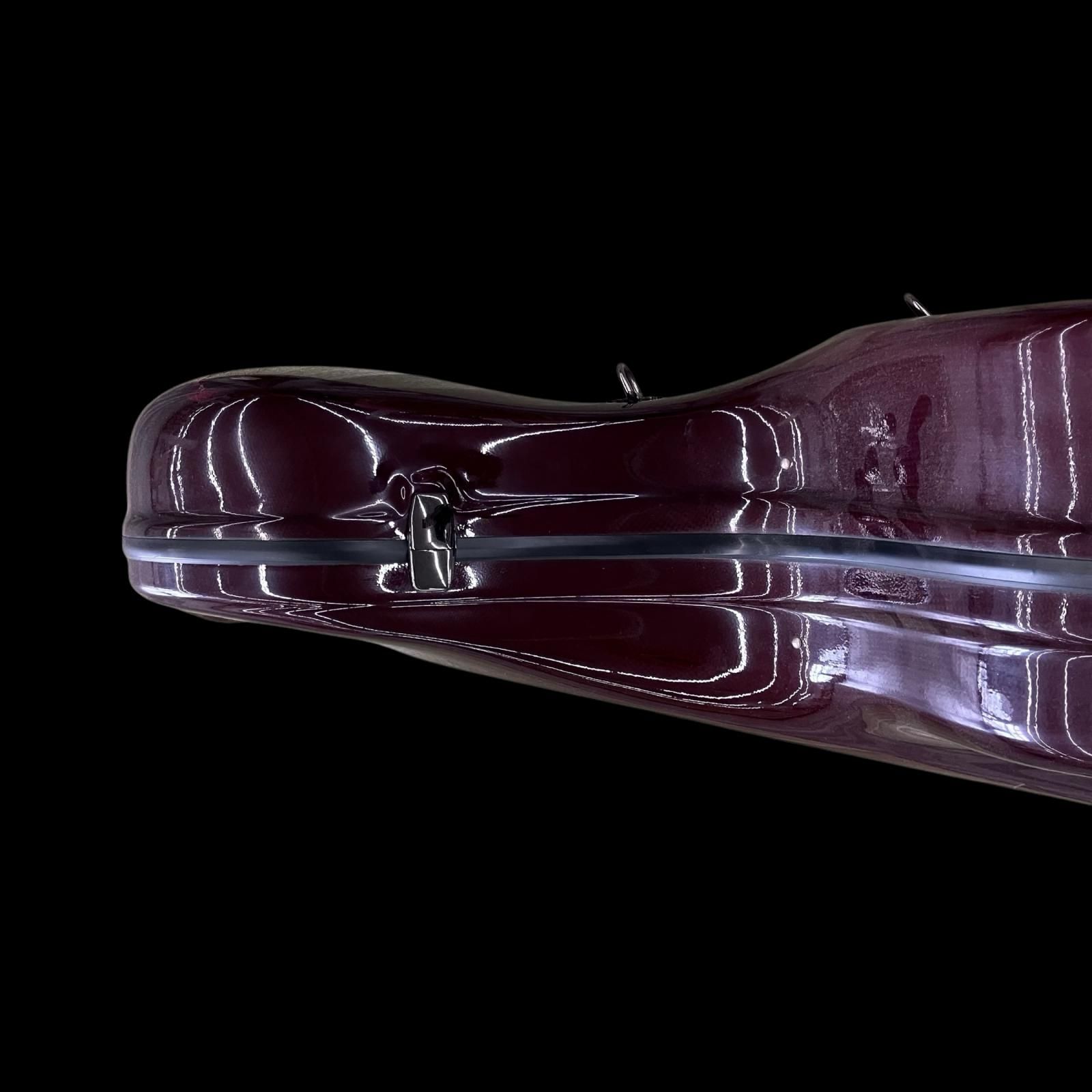 SG00001 現状品 Eastman イーストマン チェロケース カーボン WWW_TRAVELLANDINDIA_COM