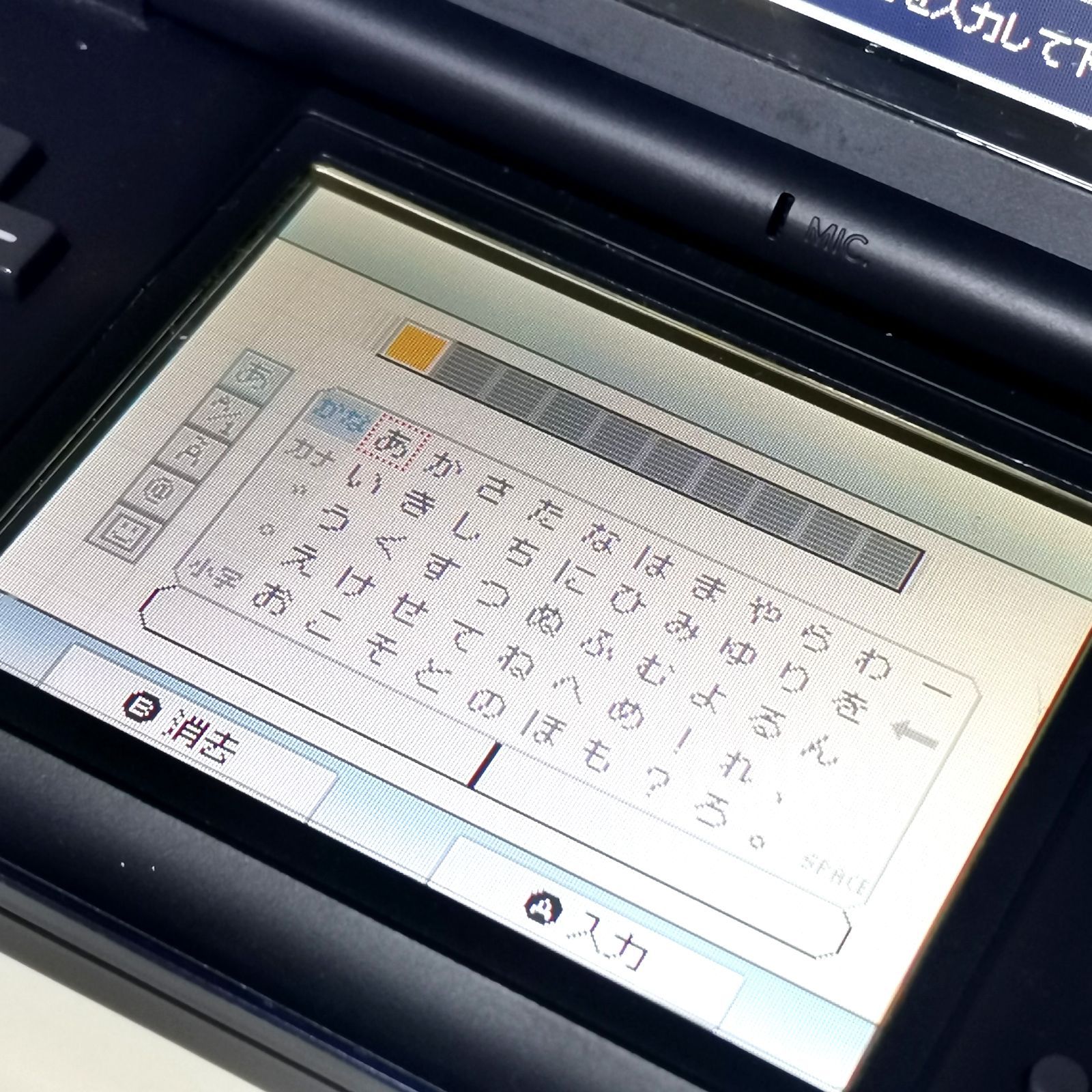 ニンテンドーDS Lite ネイビー 動作確認済み 初期化済み 充電器