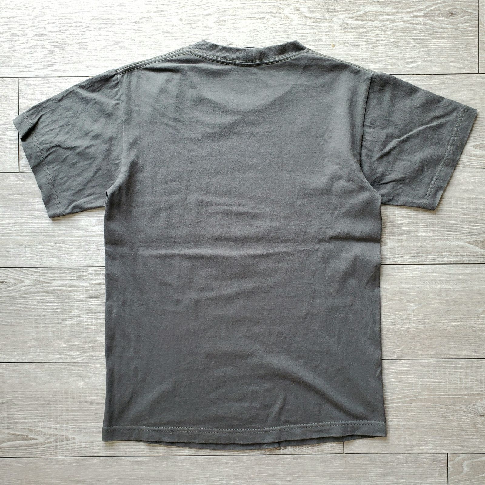 STUSSYステューシー□良品 00s 中期 I GET GOOSE BUMPS 半袖 クルー 