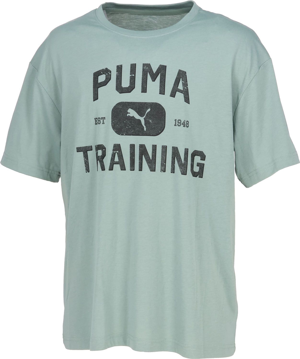 プーマ PUMA GRAPHICS LOGO リラックス T シャツ  527359 03 MEDIUMGRAYHEATHER