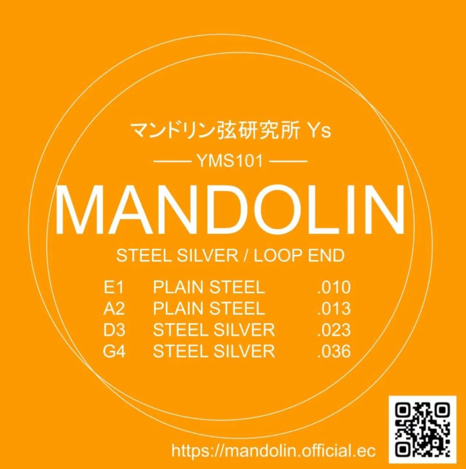 マンドリン弦　YMS101　まとめ買い20セット