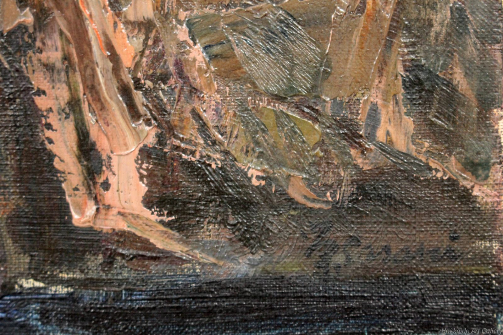 佐々木栄松 知床半島の硫黄山