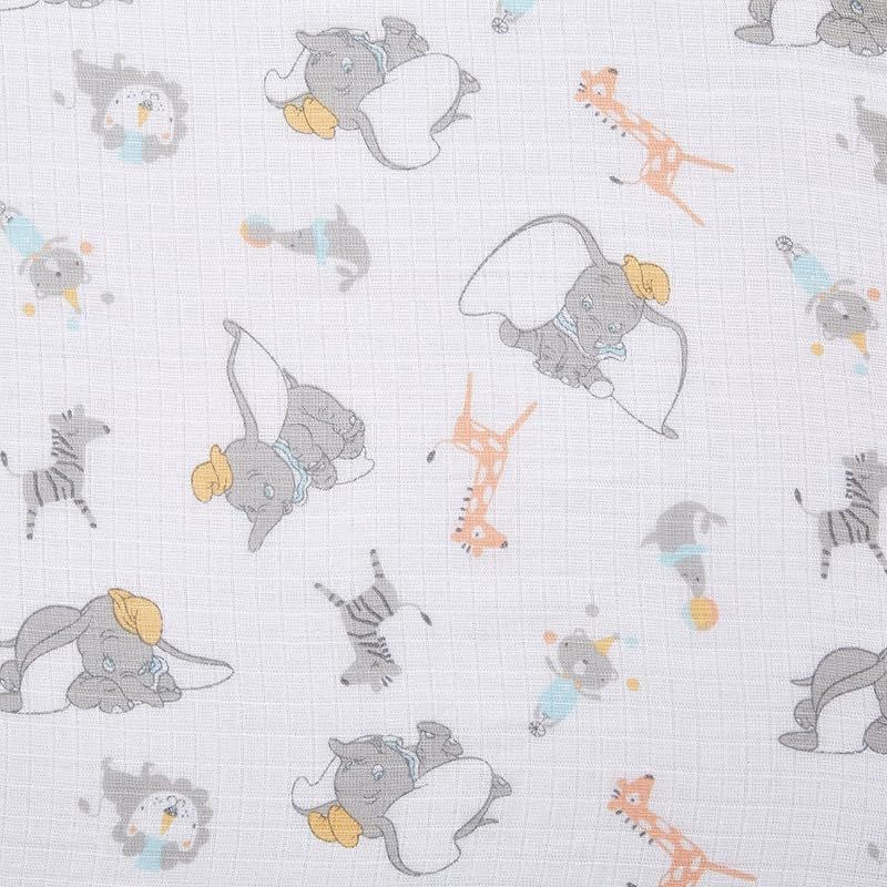 dumbo new