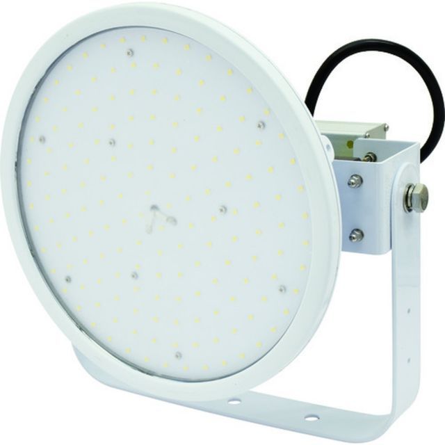 S級極太株❗粒葉❗特選ケラリアピグマエア S級極太株