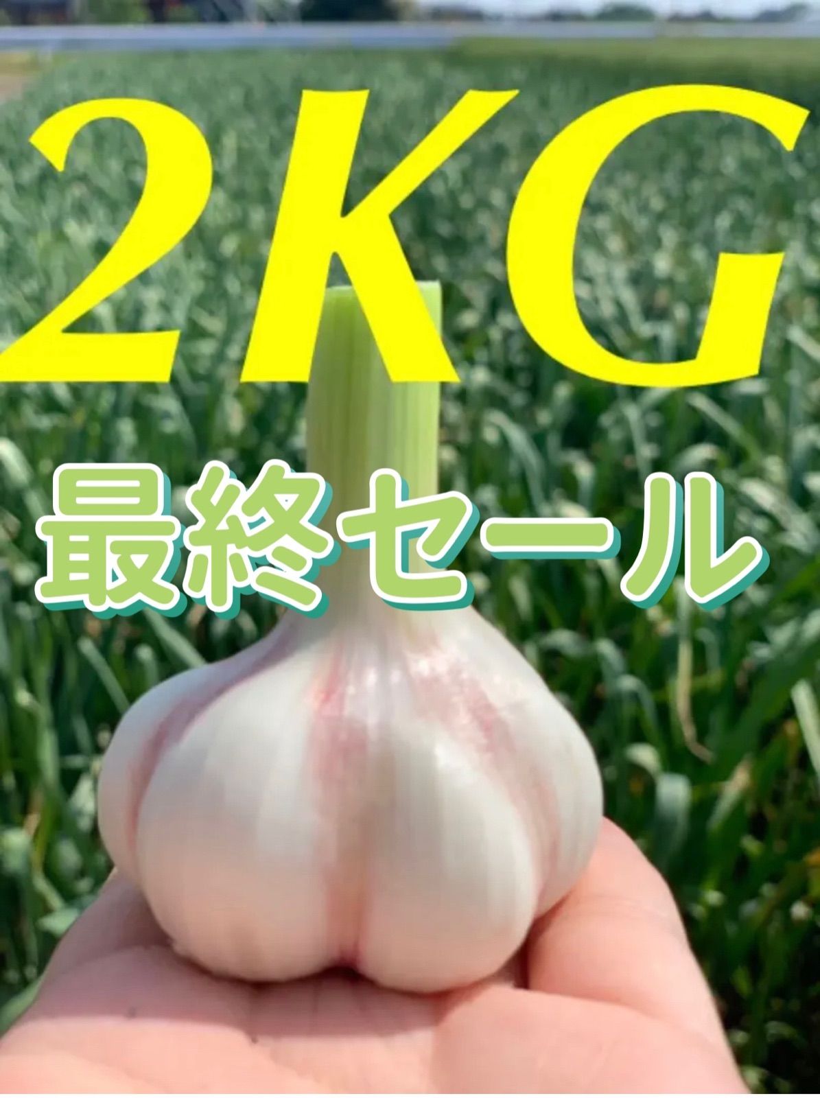 無農薬生ニンニク2KG❗️訳あり - メルカリShops