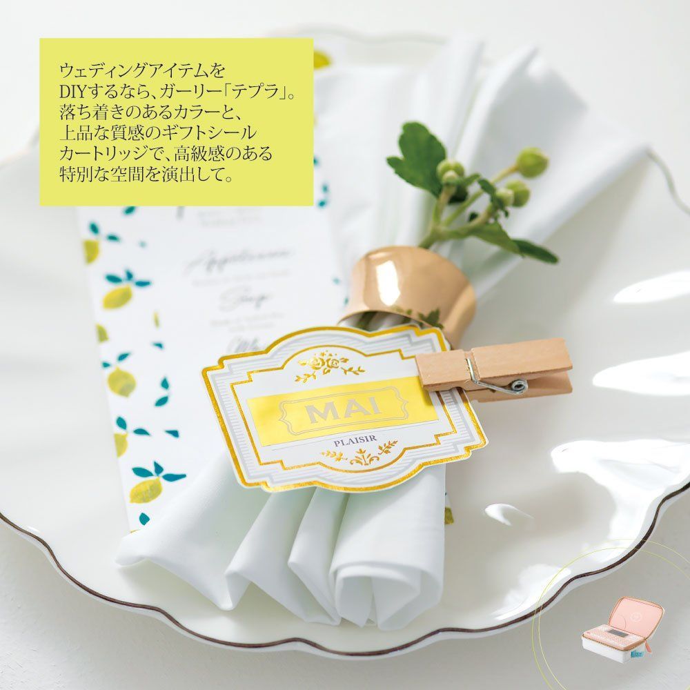 商品 キングジム ラベルライター テプラ PRO SR-GL2 コーラルピンク ガーリーテプラ 対応ラベル幅 4-18mm幅