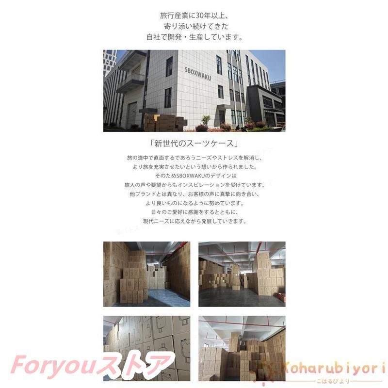 機内持ち込み ss