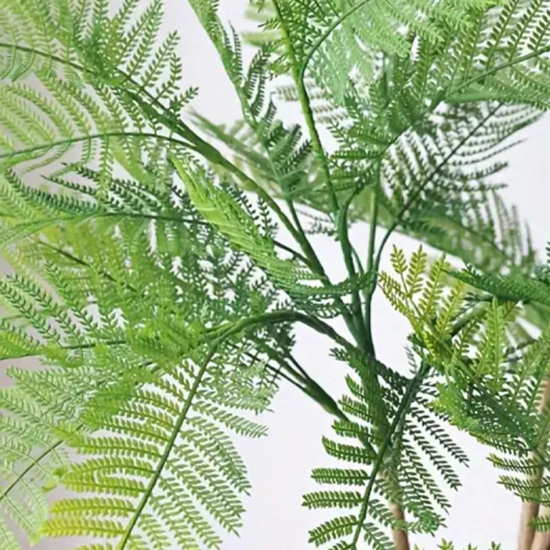 エバーフレッシュ 人工観葉植物 室内 ジャカランダ 木 店舗 リアルな緑 大きな植物 屋内 オフィス カフェ レストラン ホテル ショップ ナチュラル 自然 寝室 ホームデコレーション インテリア 植物 エコ 癒し おしゃれ 大型 フェイクグリーン 風水