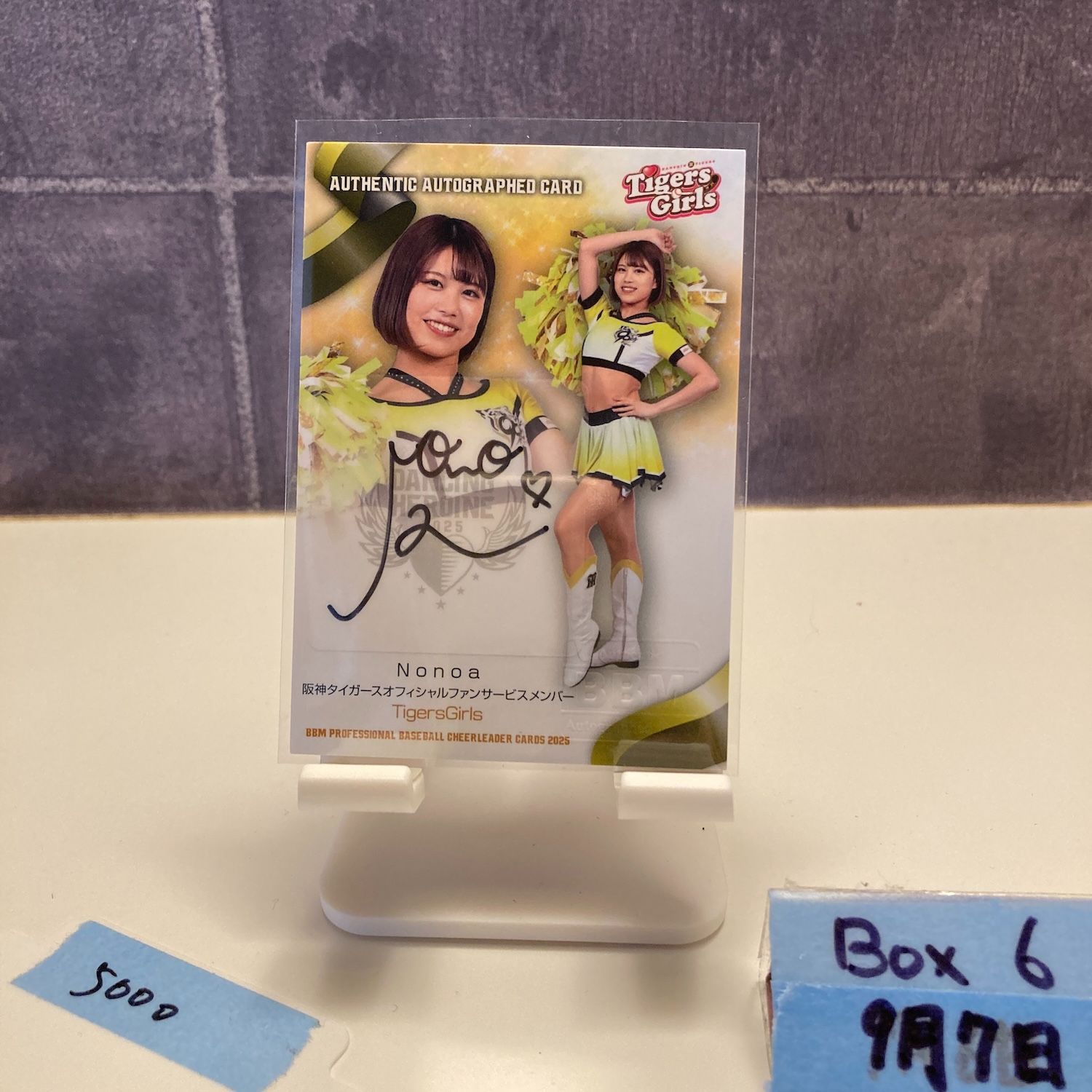 ジャイアンツ　ヴィーナス　茂木みなみ　ブロマイド ☆BBM 2024 チアリーダーカード DANCING HEROINE #V14 茂木みなみ