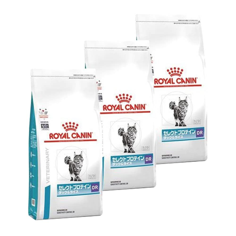 料理 曼荼羅 安井閑人編 京料理・閑人」(京都東山区高台寺) 著者