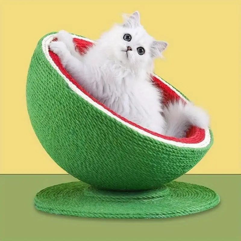 シサルダンボードハウス