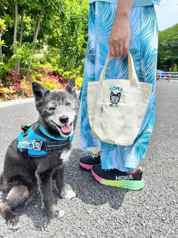 愛犬 オーダー ユリウスk9 刺繍ワッペン ネームワッペン 刺繍