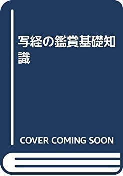  写経の鑑賞基礎知識