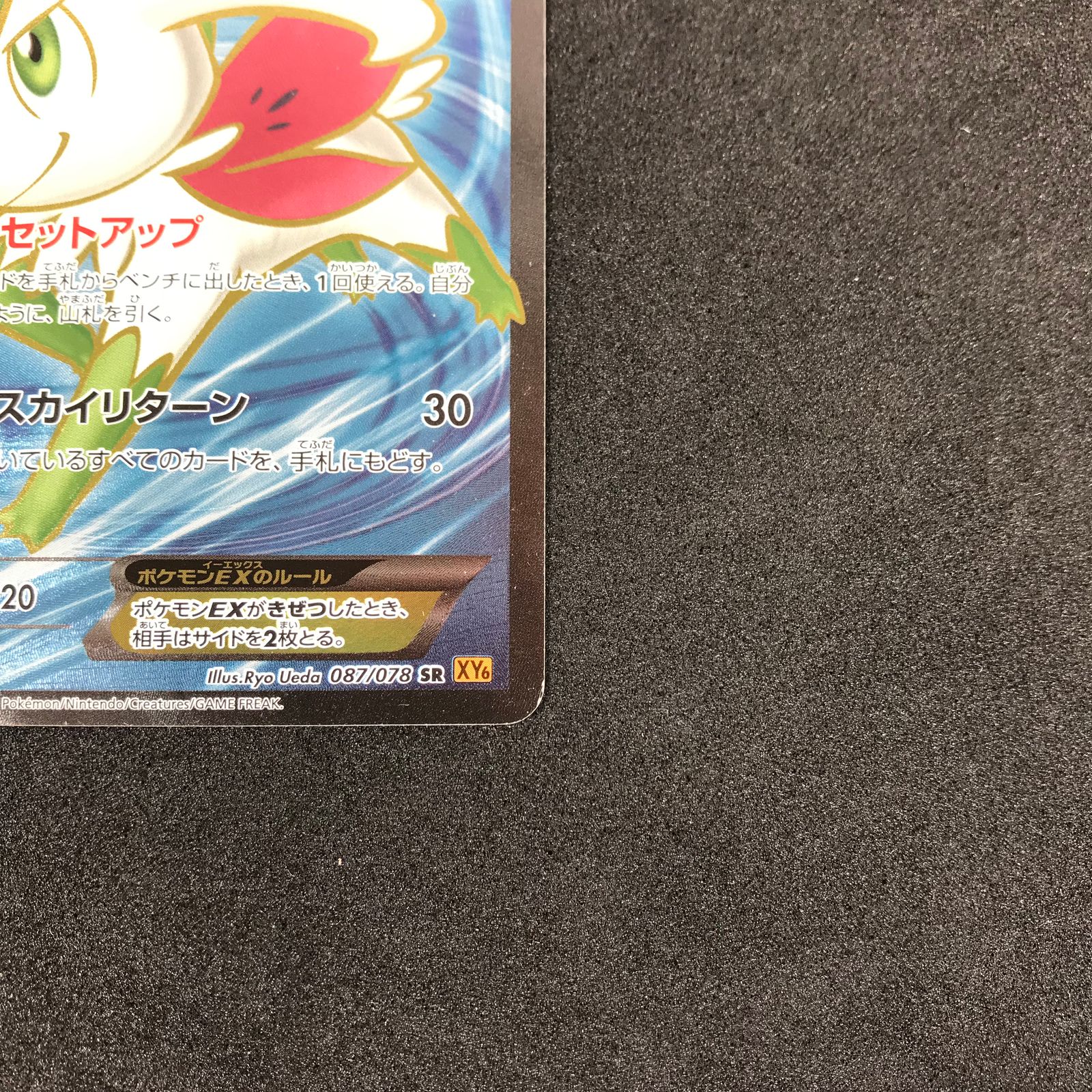 ポケモンカードゲーム シェイミEX （ 087/078 SR ） XY6 ARS10