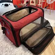 小型犬 中型犬