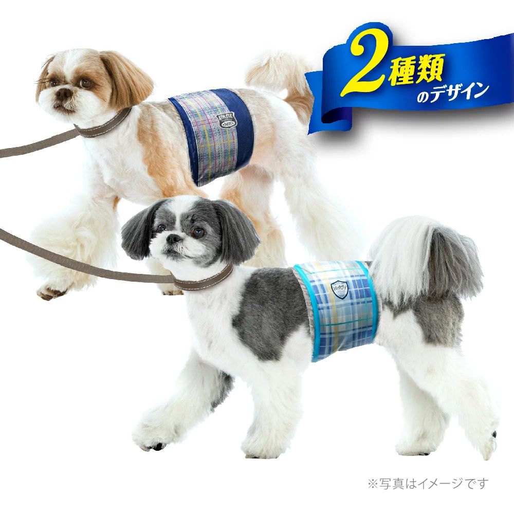 男の子用 小～中型犬用