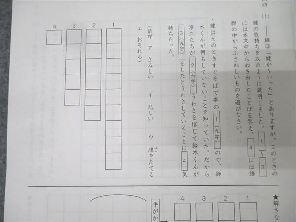 本 サピックス 5年生 国語 最新全テキスト デイリーサピックス 解答解説
