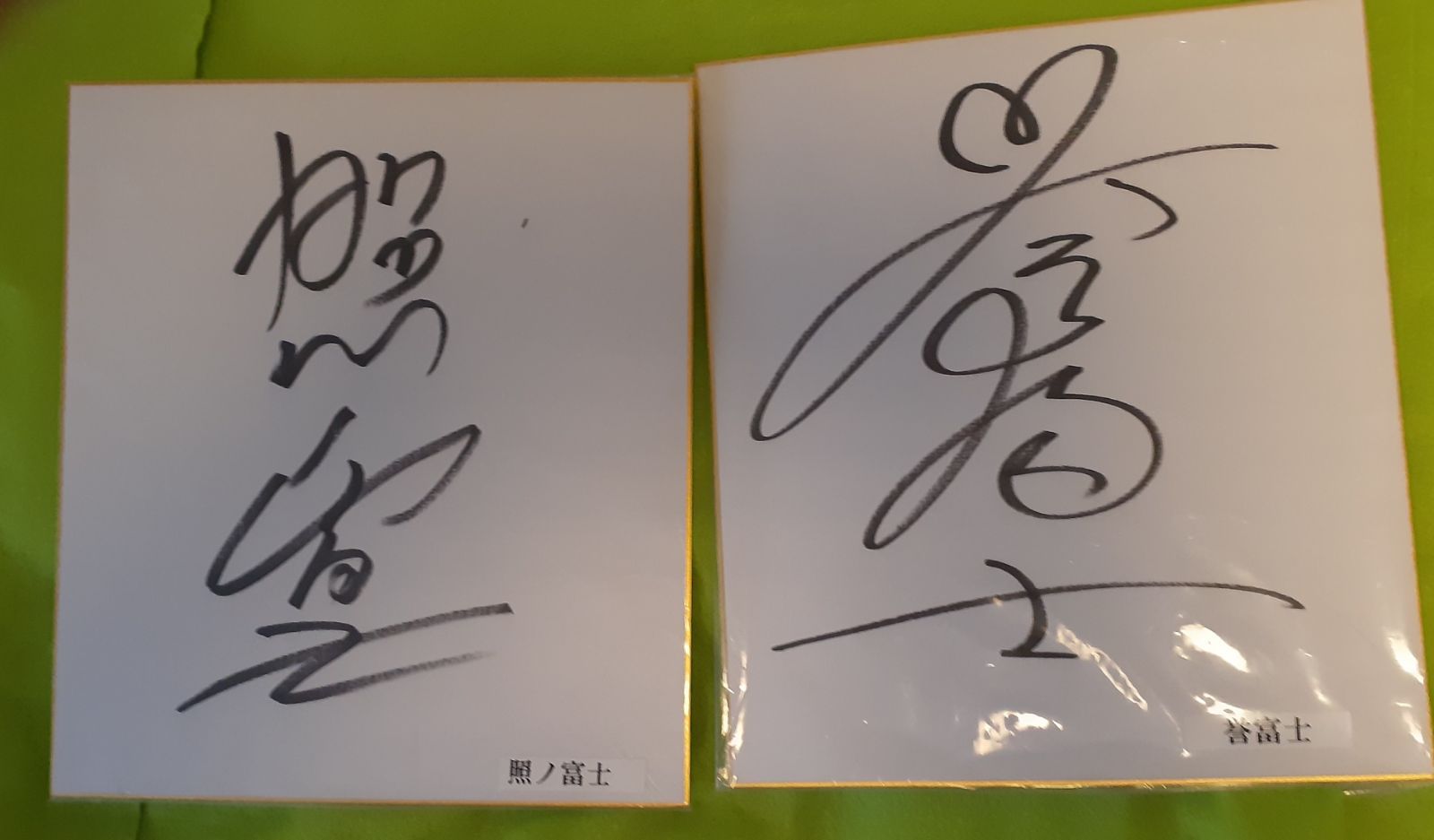 大相撲 浦上正則【セーヌ川上のノートルダム寺院 】 水彩画、額付き