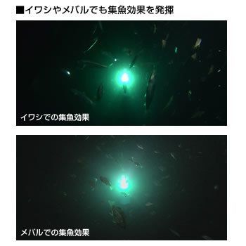 LED