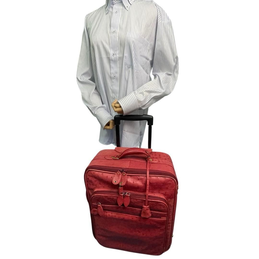 希少✨キャリーケース オーストリッチ ダチョウ トラベル ビジネス 2輪