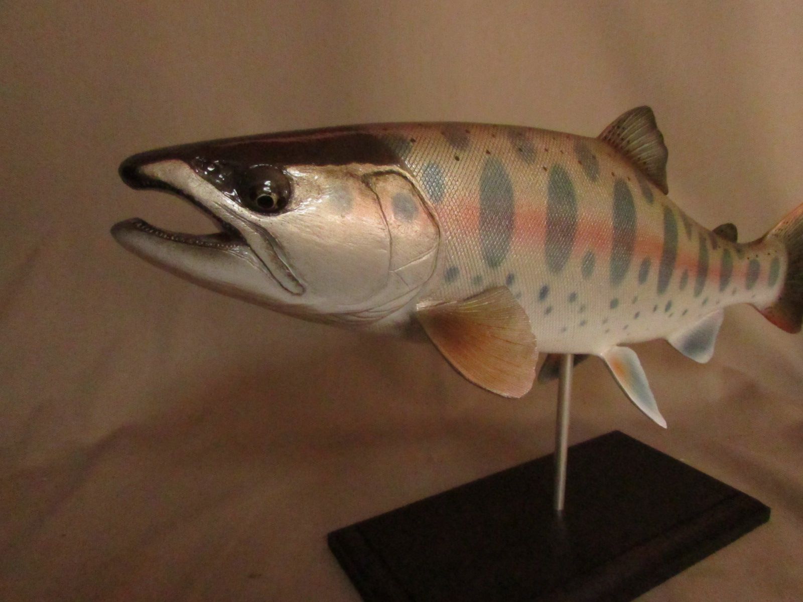 ハンドメイド 自作 ４６ｃｍイトウ 怪魚 釣り フィギュア 魚模型 