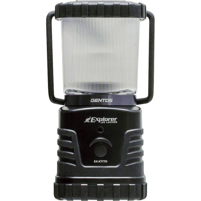 コウモリの標本 アクリル封入