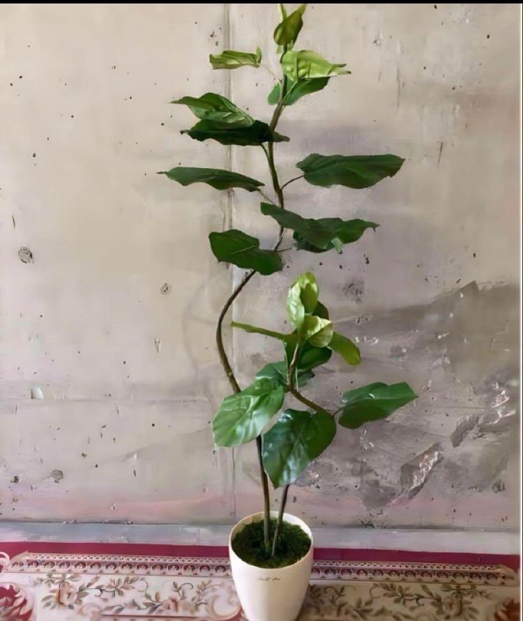 光触媒 人工観葉植物