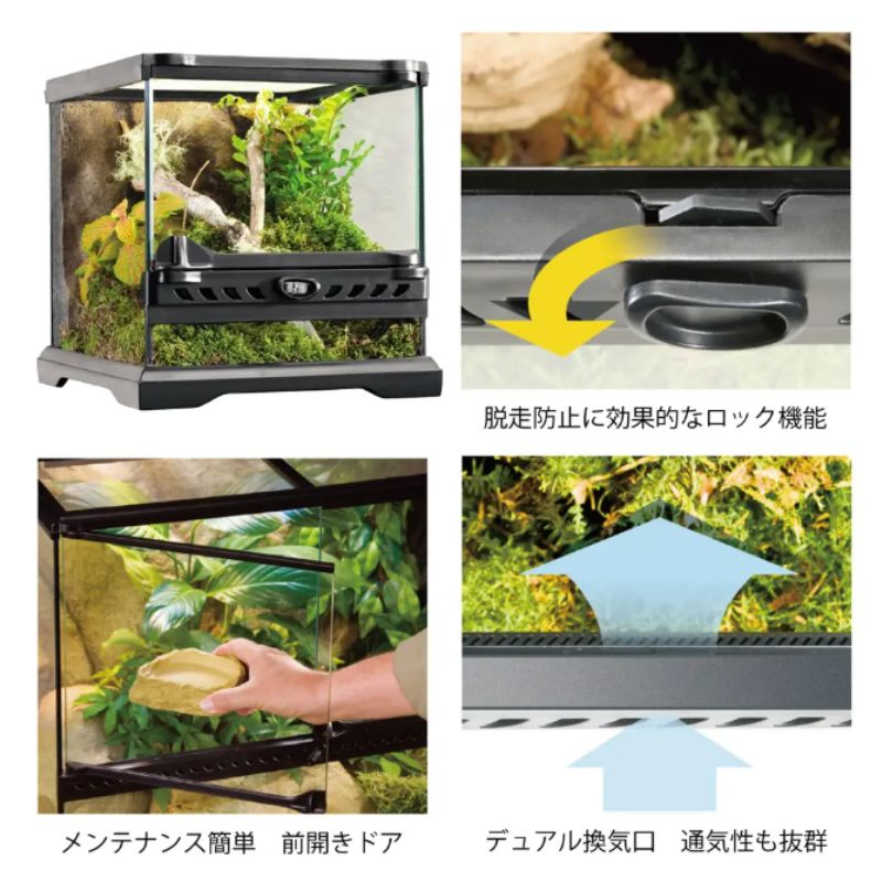 両性類