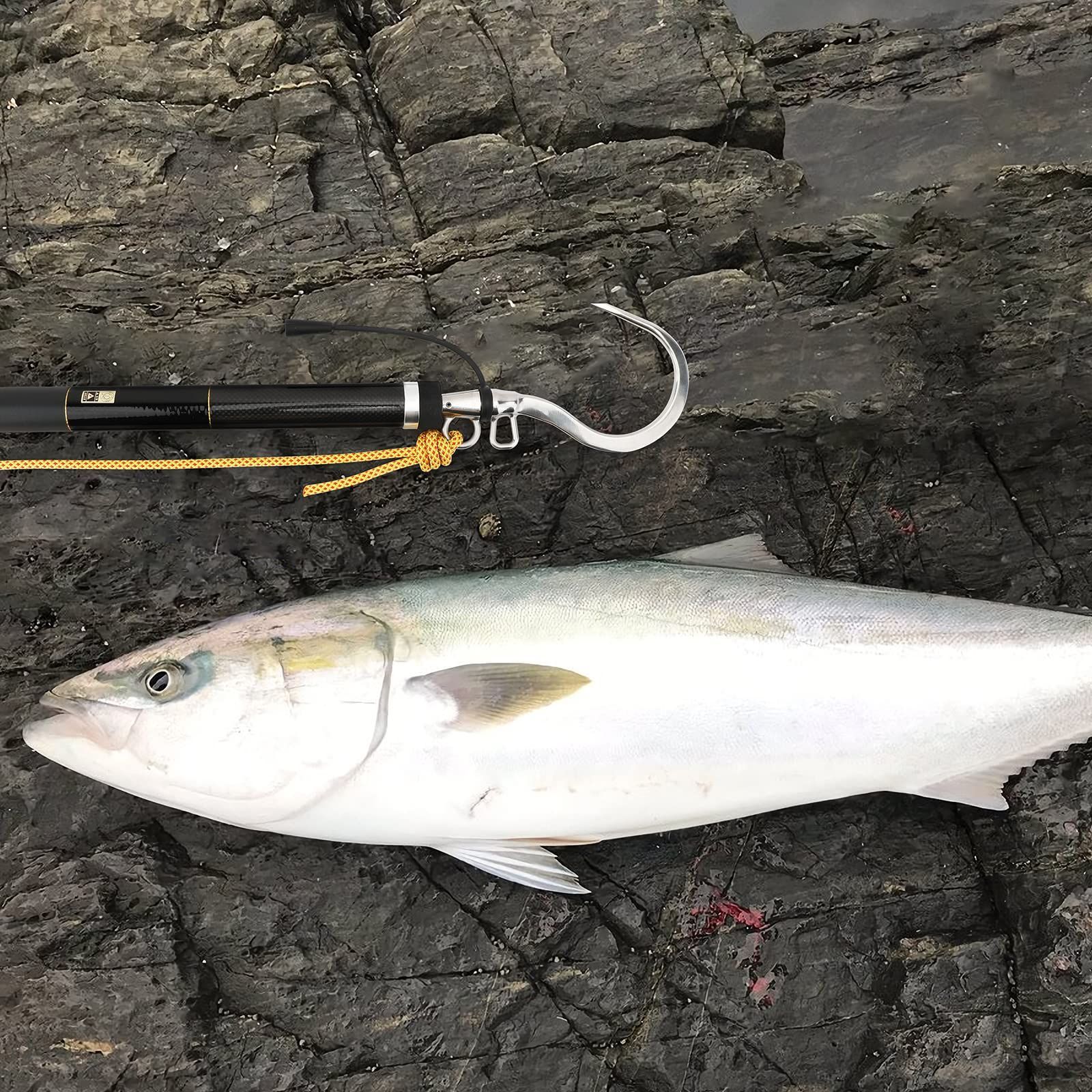 大魚釣り