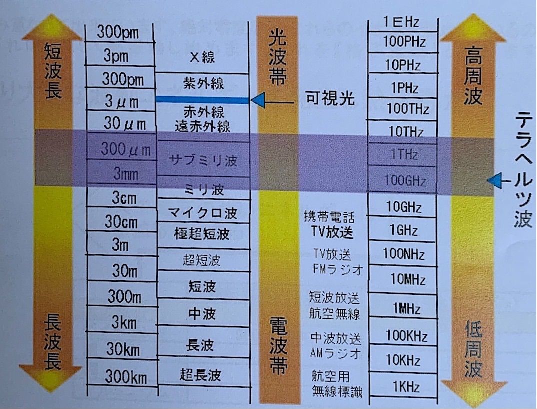 通販でクリスマス 値上げ予定２枚セット 特大サイズ【超高純度】日本産