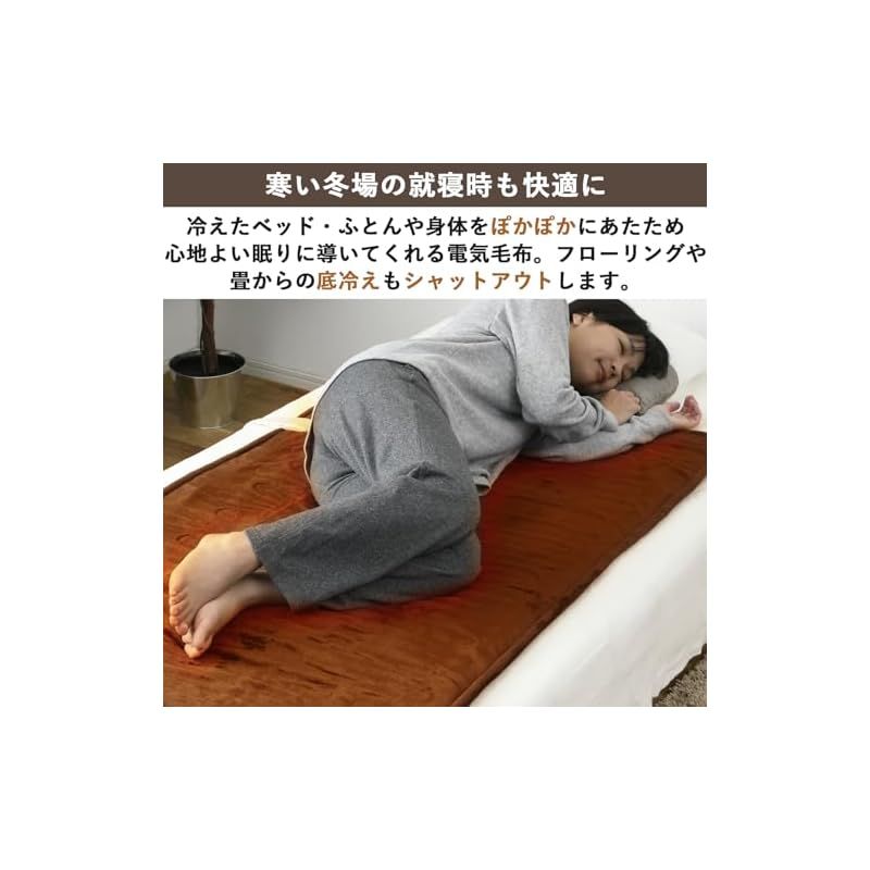 山善 電気毛布 敷き 電気敷毛布 140×80cm シングル 洗える ふわふわもこもこ 表面フランネル 裏面プードルタッチ仕上げ ダニ対策機能 温度調節無段階 YMS-F36P T 1 WWW_KANDAIZUMI_COM