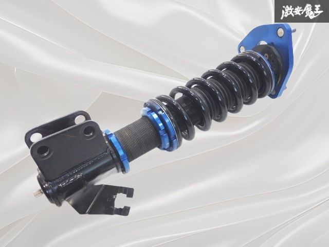 ピ*ウ様 パキポディウム アンボンゲンセ 特大株 白肌株 実生