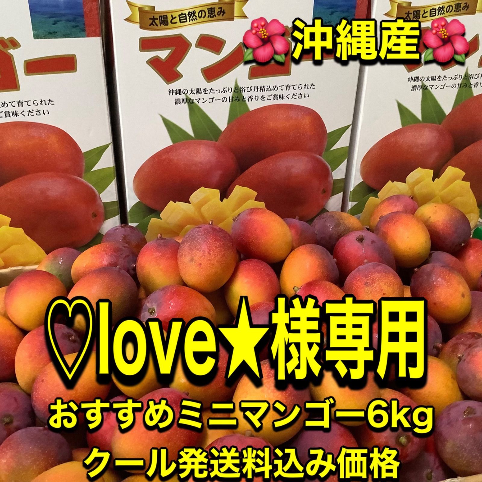 ☆小さい☆摘果マンゴー　約6kg Amazon.co.jp: MDSTORE 沖縄青切りマンゴー 摘果マンゴー Green