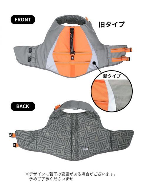 ネオンオレンジ ボーダーコリー