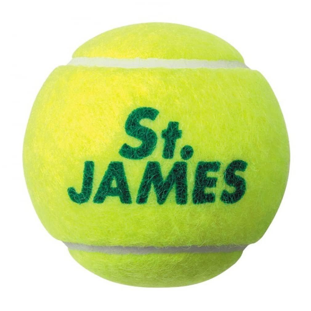 DUNLOP(ダンロップ) 硬式 テニスボール 単缶/ケース St.JAMES
