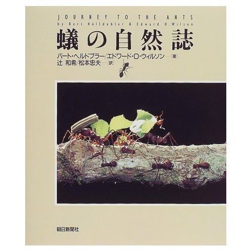 蟻の自然誌