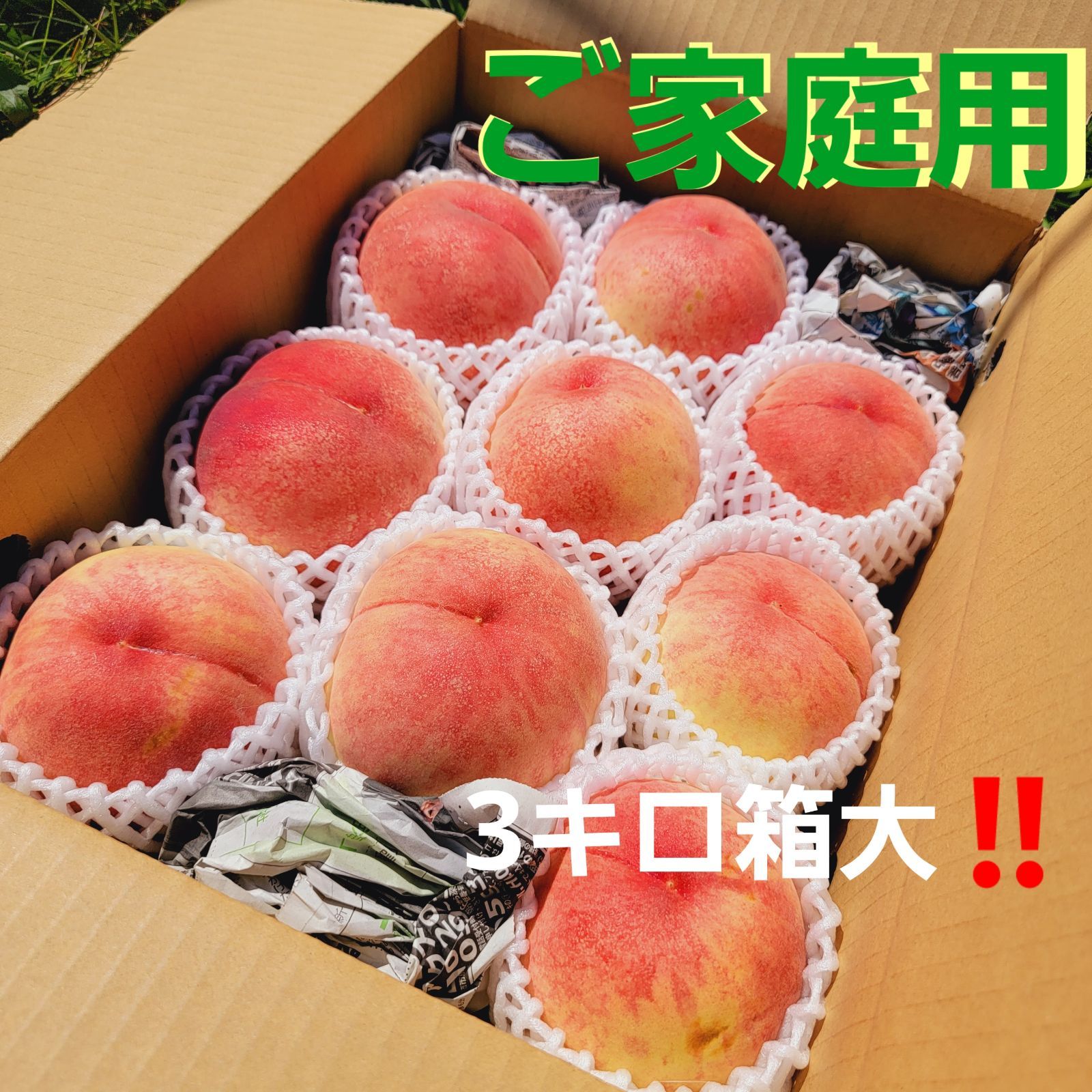 なつっこ 大 3キロ箱良い子 果物 | www.trabi.vn